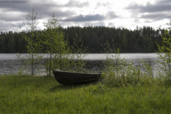 niittyvuori2_1024x680