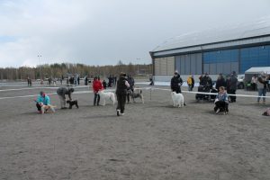 IMG_4430